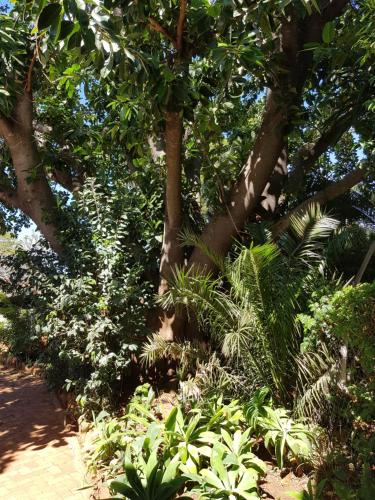 Burnham Road Suite Guest House in Bulawayo