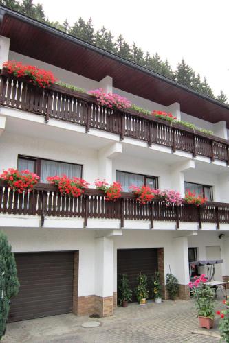 Pension zum Ritter in Katzhütte, Deutschland