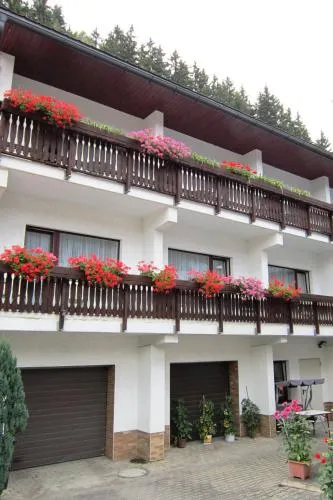 Pension zum Ritter in Katzhütte, Deutschland