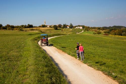 B&B Zrenj - Rural Apartment Carolina - Bed and Breakfast Zrenj