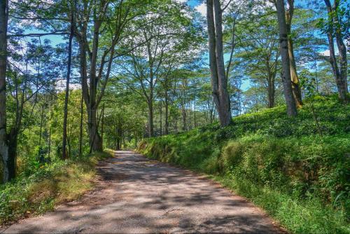 المنظر الخارجي, Lak Sewana Home Stay in دلتوته