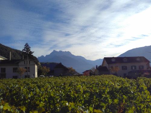 Elément-Terre (Element-Terre) in Aigle
