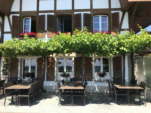 Vista Exterior, Alpenblick Ferenberg Bern in Berna