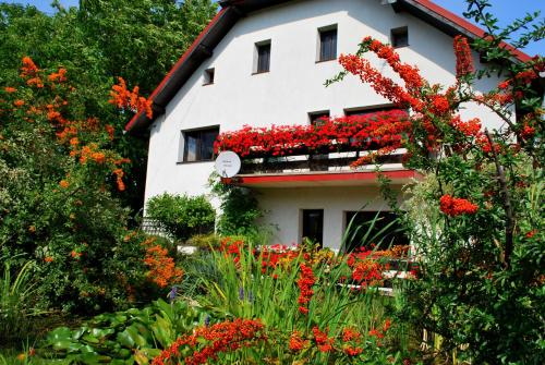 Apartamenty i Pokoje Aneta, Szklarska Poręba