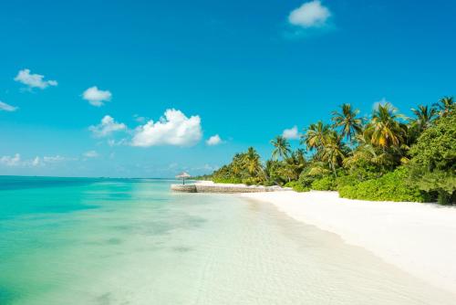 Canareef Resort Maldives