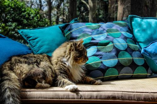 Tomah Retreat - Studio RELAX with fireplace in วินด์เซอร์