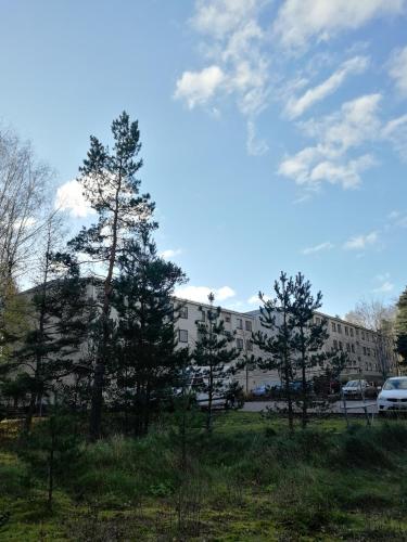 Scandinavian Sun Apartment - image 13