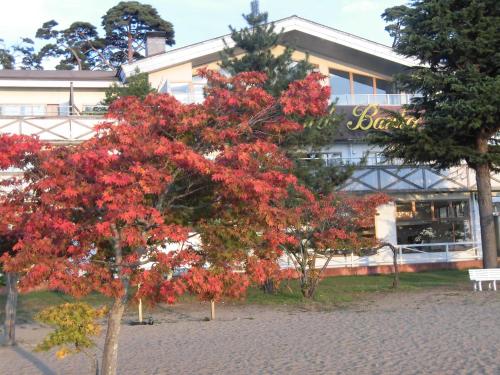 Lakeside Banko Inawashiro