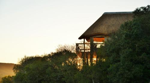 Garden Route Safari Camp