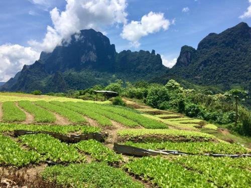 Sapa Dao Homestay