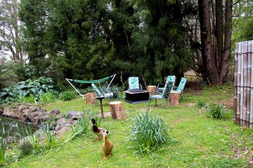 Tomah Retreat - Studio BREATHE with fireplace in วินด์เซอร์