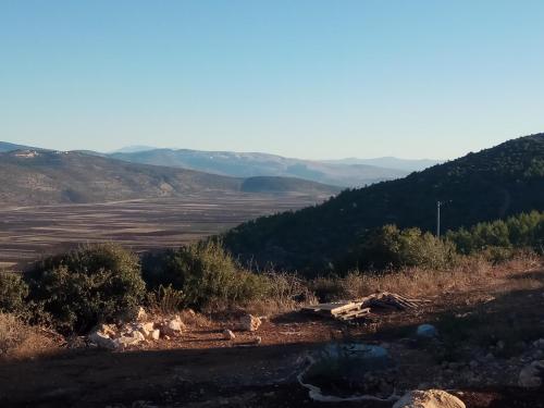 Shapira in the Galilee