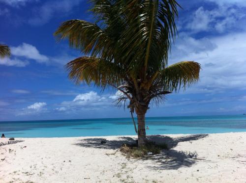 ทัศนียภาพภายนอกโรงแรม, Spice Cottage in ไฟฟ์ ไอส์แลนด์