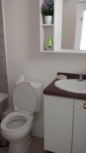 Dpto La Serena