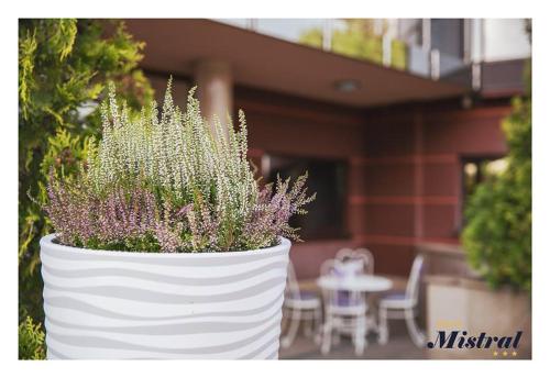 Hotel Mistral - image 14
