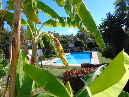 Torrequebrada Golf & Beach Guesthouse chambre d'hôte Torremolinos