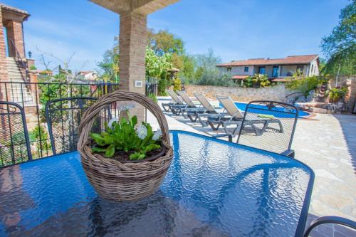 Manuel with Swimming Pool