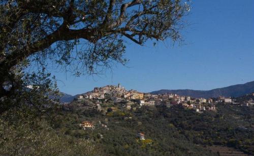 B&B Moon Light - image 6