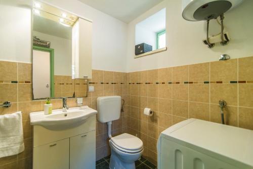 Pets friendly Casa Gianni Valbandon - image 12