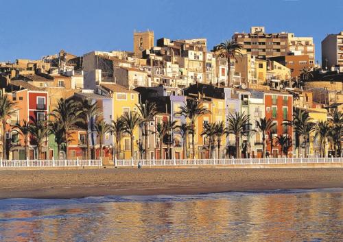 La terraza del palasiet - image 5