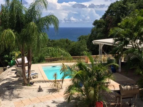 Blue Paradise - Location saisonnière - La Trinité