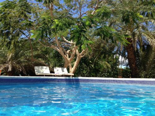 Swimming pool, StevieWonderLand Playa El Yaque in Margarita Island