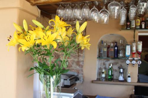 Finca Can Toni - image 8
