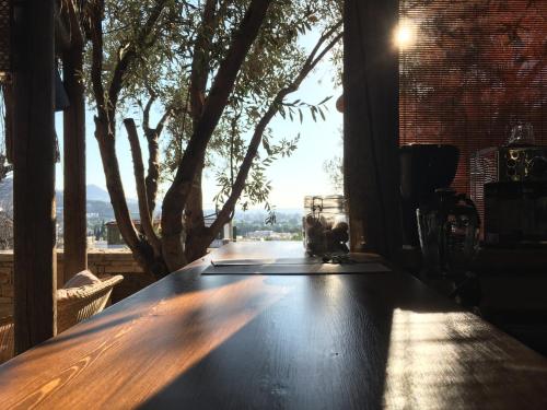 Sandima 37 Suites Hotel Bodrum Price Address Reviews