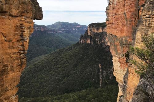 Ribbon Gum Lodge