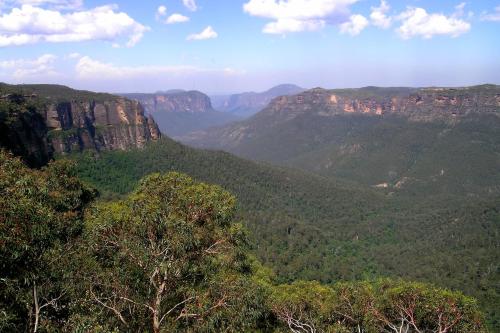 Ribbon Gum Lodge