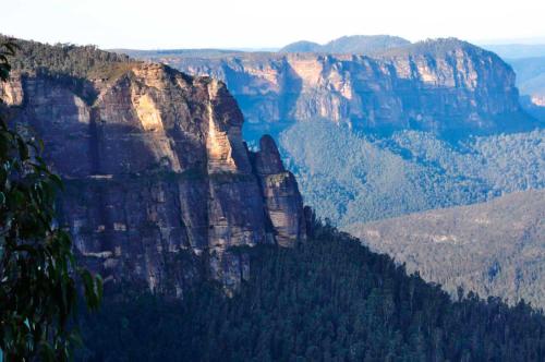 Ribbon Gum Lodge