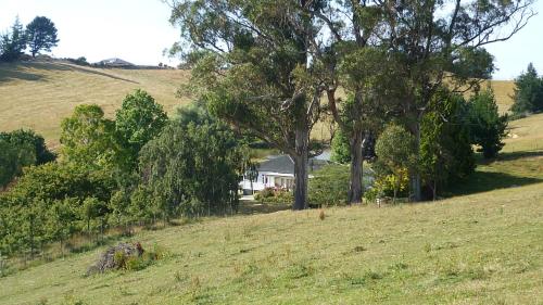 Surrounding environment, Tasman Farmstay Retreat GlenMhor in Tasman
