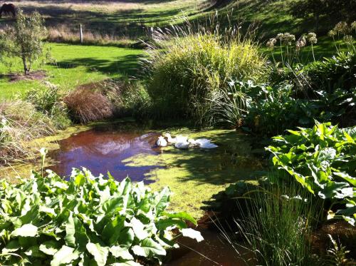 Surrounding environment, Tasman Farmstay Retreat GlenMhor in Tasman
