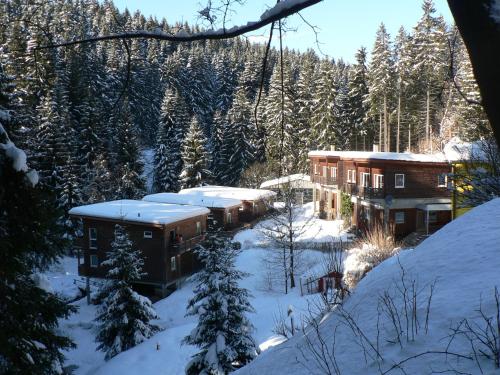 Ferienhaus Bad Hundertpfund Typ C in Grossbreitenbach