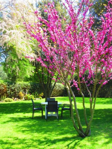  Agriturismo Serignano alle Rocchette in Castiglione della Pescaia