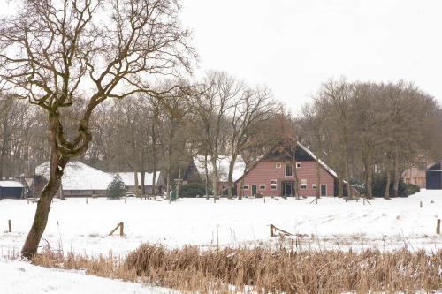 Hoeve Springendal - image 8