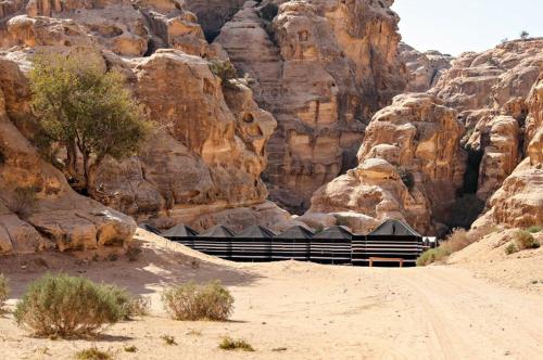 Ammarin Bedouin Camp - Petra