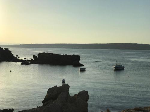 Homely Apartments Blasco Ibañez - image 5