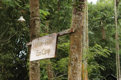 Nature Hunt Eco Camp