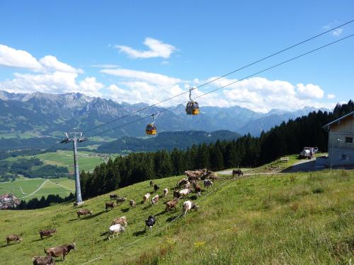 Surrounding environment, Ferienwohnungen Alpentraum - Almwiesen in Obermaiselstein