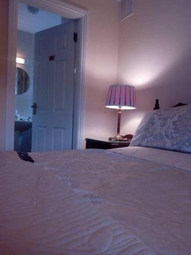 Corrib View Guesthouse - image 11