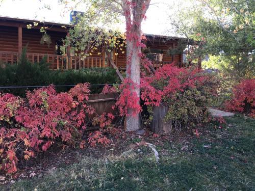 Canyon Wren Bed and Breakfast