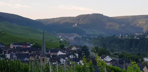 Apartment an der Mosel 1 in Graach