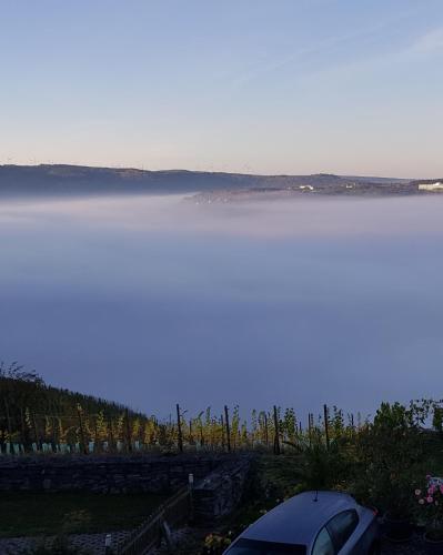 Apartment an der Mosel 1