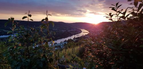 Apartment an der Mosel 1