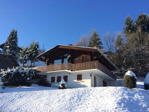 Les Oiseaux Bleus - Chalet - Morillon