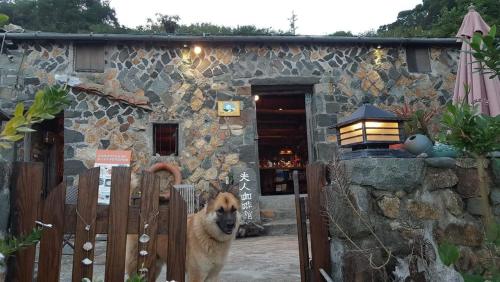 夫人咖啡民宿評價、特色體驗、房價資訊、訂房連結 – 溫馨海景與動物友善 - 照片 2