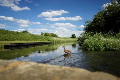 The Mill at Conder Green