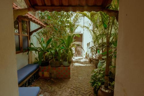 Malindi Guest House in Zanzibar