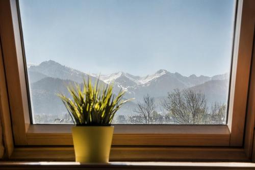Apartament Olczanka Zakopane, Zakopane (fotografie 8)